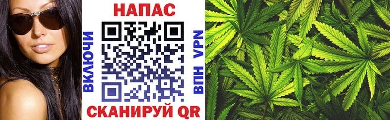 как найти наркотики  Рудня  Канабис White Widow 